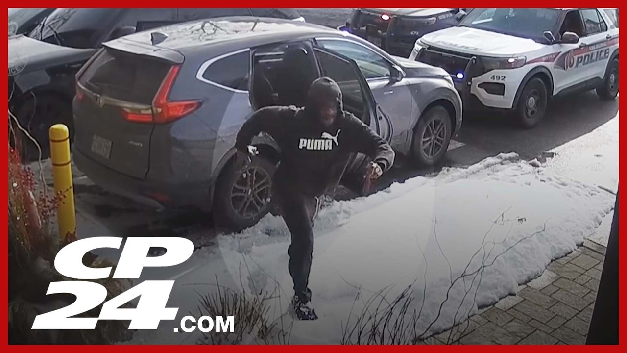 Failed attempted robbery in York Region caught on camera
