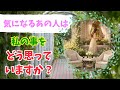 気になるあの人は私の事をどう思っていますか？