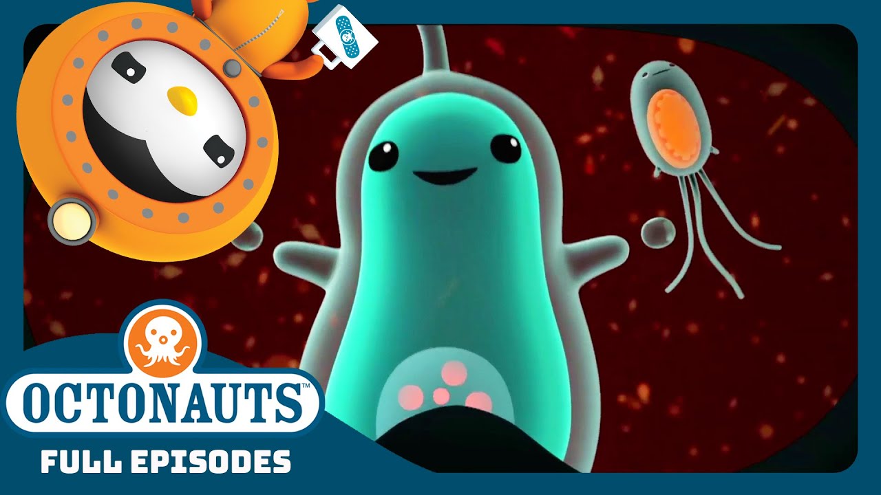 ‪@Octonauts‬