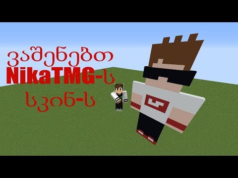 ვაშენებთ NikaTMG ს სკინს