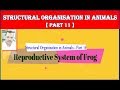 Reproductive System of Frog | Structural Organization in Animals | NEET Bio | Part - 12