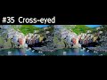 【疑似3D交差法(PSEUDO 3D Cross-eyed)】｢ｲﾀﾘｱ / ﾁﾝｸｴ･ﾃｯﾚ (Italy / Cinque Terre)｣