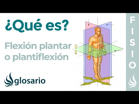 Vídeo: Flexión Plantar: Músculos, Función Y Más