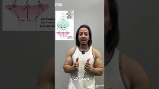 ما الذي يمنعك عن التمرين⁉️?  الموسوعة  Sheno