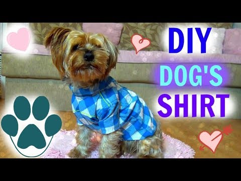 Видео: Как да шият дрехи за кучета