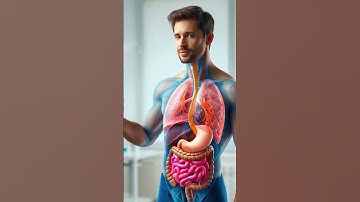 What Happens When You Drink Tea | 3D Digestive System Animation