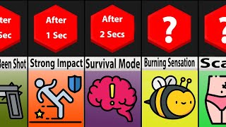 Comparison: What Does It Feel Like To Be Shot