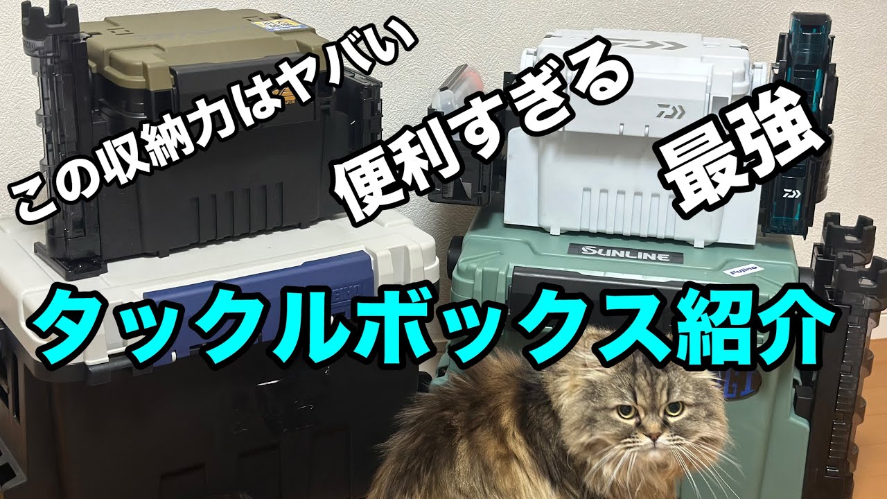 タックルボックス紹介【エギング】【ロックフィッシュ】