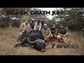 Hunting Buffalo and plains game with Thwane Safari's Africa.