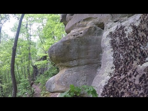 Tree Climbing & Traversing with the Singing Tree Rope Runner & DMM