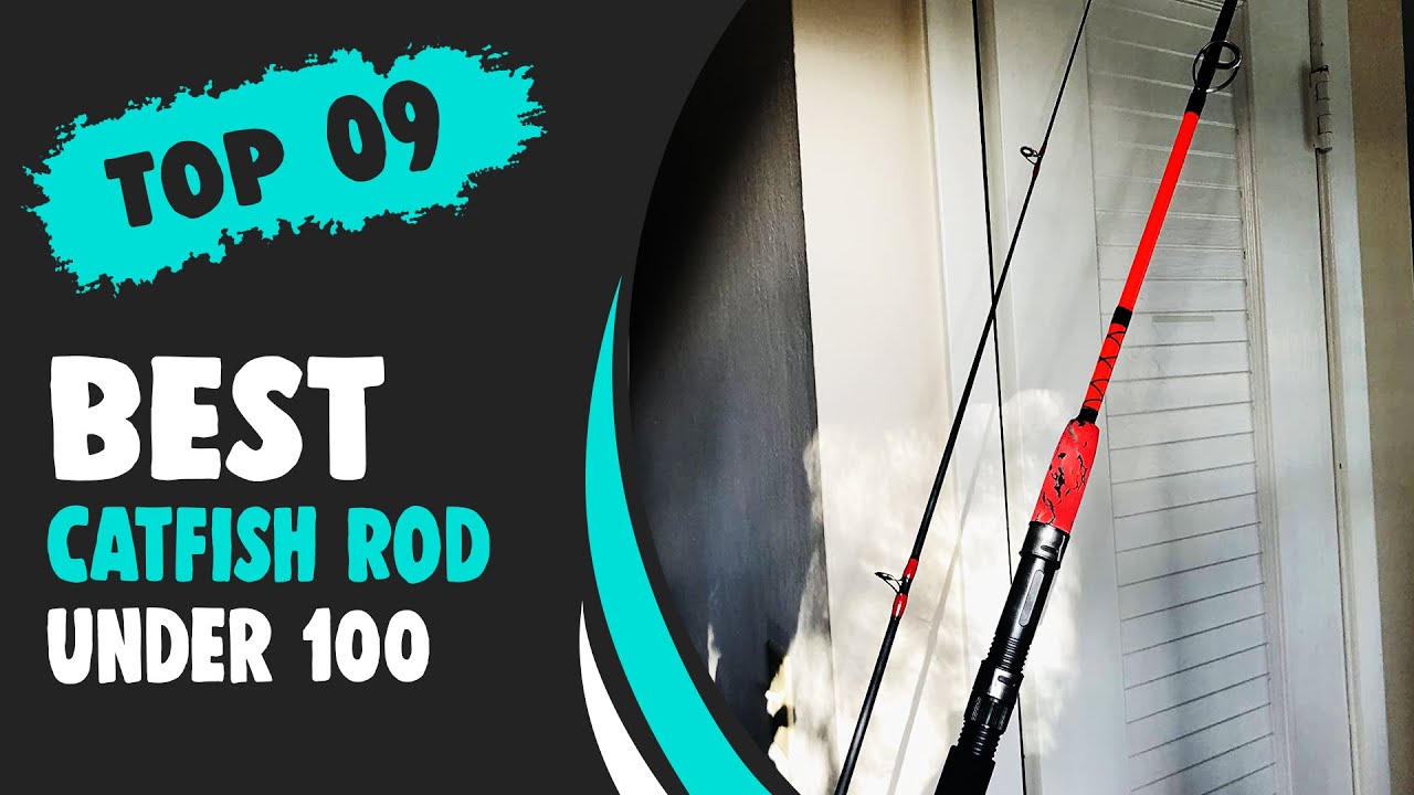 Best Catfish Rod Under 100 Quick Guide! YouTube