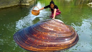 Download Lagu The big river clam appeared and dried directly. There are too many beautiful pearls MP3