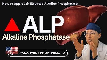 How to Approach Elevated Alkaline Phosphatase (ALP)