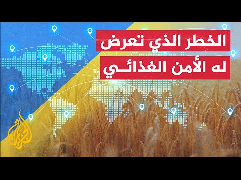 كيف تأثر الأمن الغذائي العالمي جراء الحرب في أوكرانيا؟