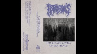 Astriferous  - The Lower Levels Of Sentience
