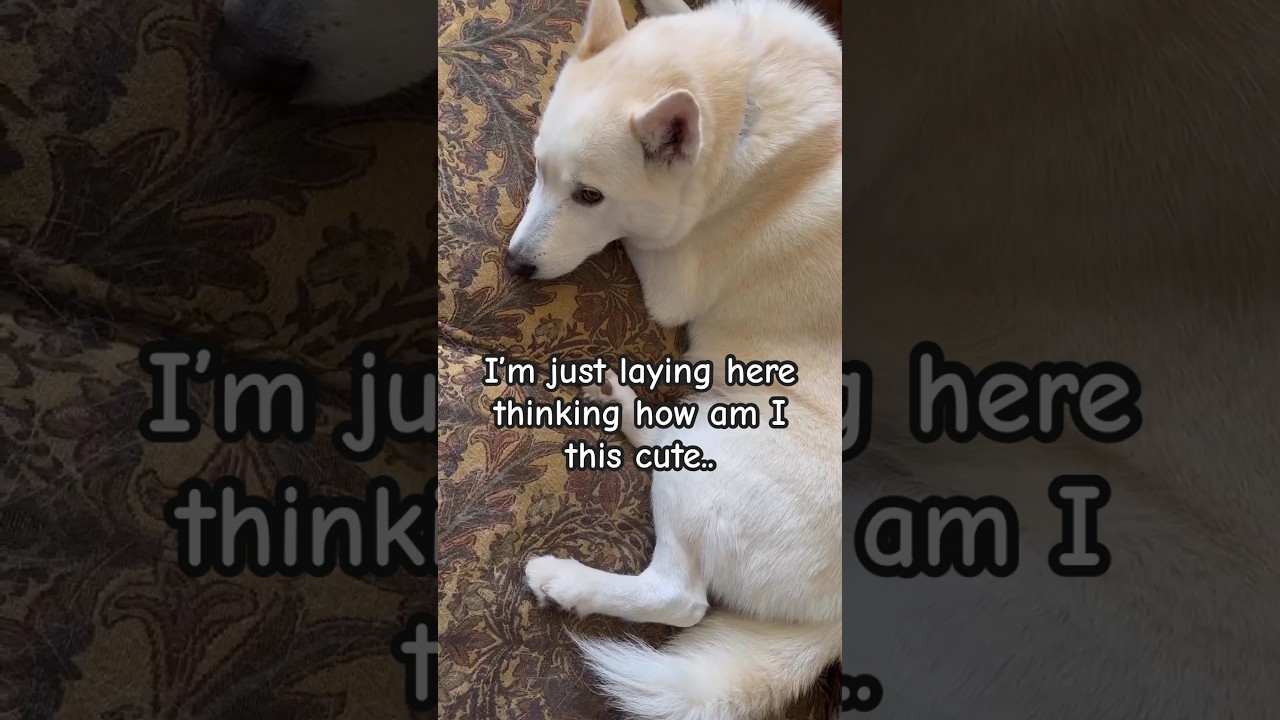 How can they do this to me! 😭😭 