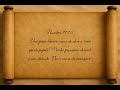Numeri 11 — Italiano | BYNV Scriptures