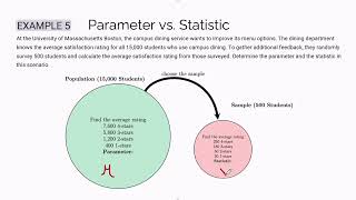 Statistics Workbook 1.1 Example 5