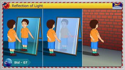 Std 07 Science Chapter 15 Light