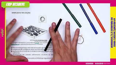 Porque os insetos eram gigantes no tempo dos dinossauros?