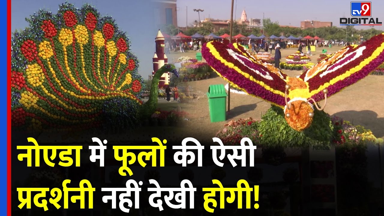 Flower Exhibition In Noida: नोएडा में गुलदाउदी के फूलों की ऐसी प्रदर्शनी, कभी नहीं देखी होगी! #tv9d
