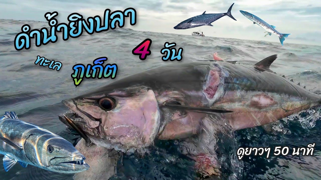 ดำน้ำยิงปลาทะเลที่ภูเก็ต 4 วัน ดูยาวๆไปเลยย