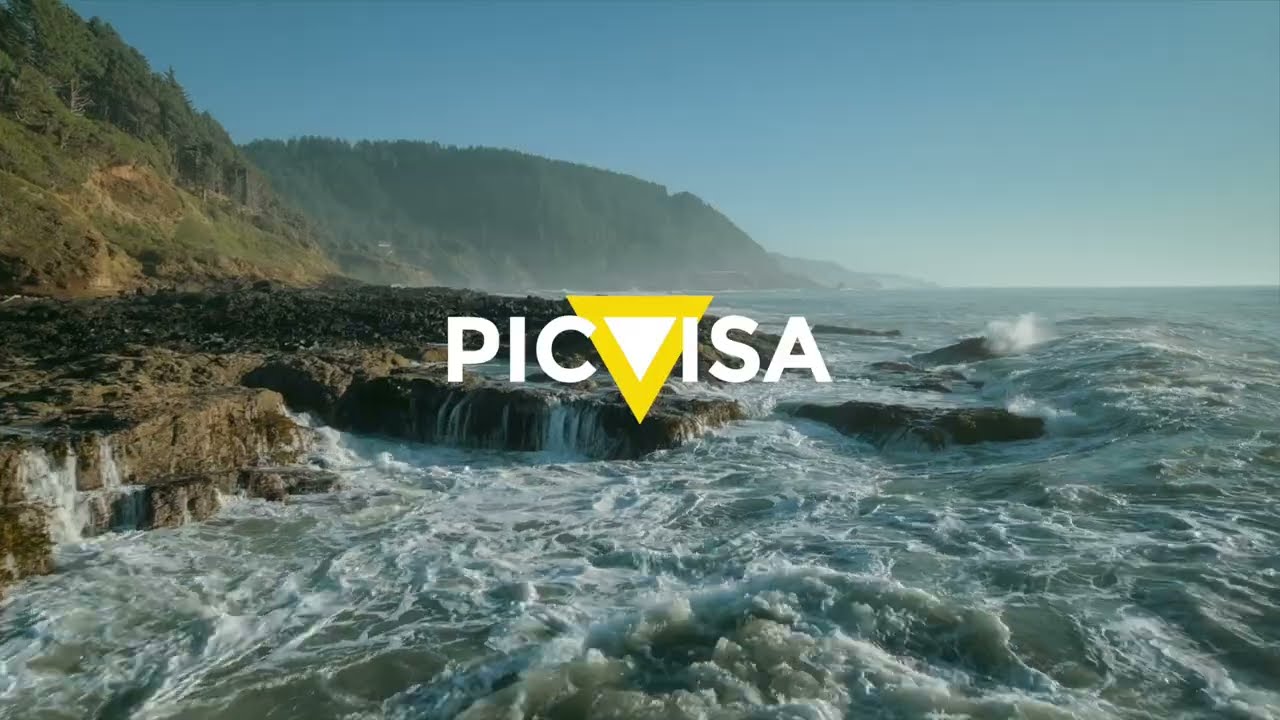 Discover PICVISA: Leading the Revolution in Recycling Technology