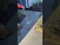 Speedy Clean-Up Transforms Path in a Flash!