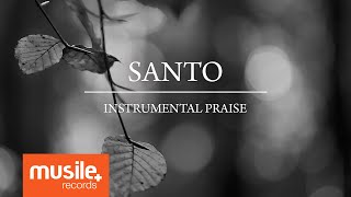 Santo (Holy, Holy, Holy) - Instrumental Praise