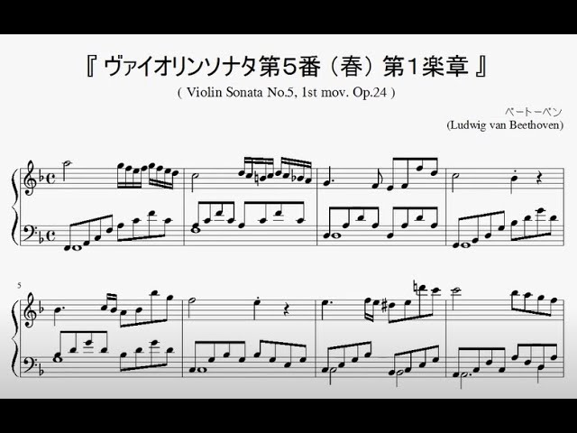 希少✨19のヴァイオリンソナタ集 ピアノ＆バイオリン楽譜-