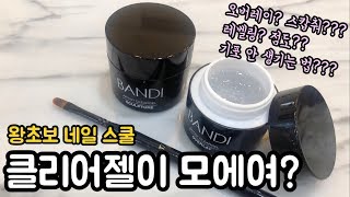 ENG) 제품제공/ 셀프 네일 초보를 위한 클리어젤 사용법, 비교 / sponsored/ BANDI's NEW Clear Gel Review