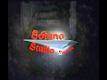 Stano studio records  bones