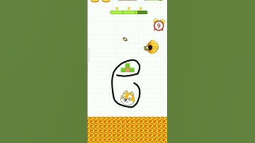 The Pet 🐱 l Level 2