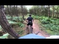 Cannock Chase Follow The Dog and The Monkey Trail