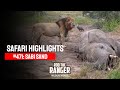 Safari Highlights #471: 16 - 20 April 2017 | Sabi Sand Wildtuin | Latest Wildlife Sightings