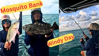 Mosquito Bank Trifecta!  Mutton Snapper, Mangrove Snapper, Black Grouper all in 10' Water