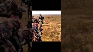 Caça Silenciosa: Veado com Arco e Flecha#Caça Silenciosa#Arco#Flecha#Veado#hunting #trending