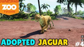 I ADOPTED A BIG MALE JAGUAR TO ZOO!  ZOO TYCOON [#4]