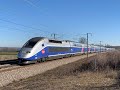 TGV, Ouigo, InOui, Trains en France