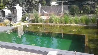 Staw Kąpielowy Cz.2 Rozrost Nasadzeń