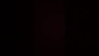 IMG 3214