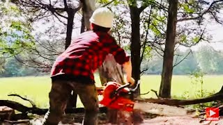 13 year old Lumberjack by Tribe of David 16,676 views 8 months ago 2 minutes, 50 seconds