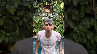 Wolf Hairstyle Tutorial