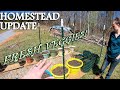 Homestead Update and Future Projects (container garden, raised beds, perennials, and fruit trees)