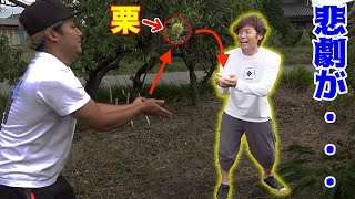 栗拾いに行ったら栗キャッチボールが始まった！