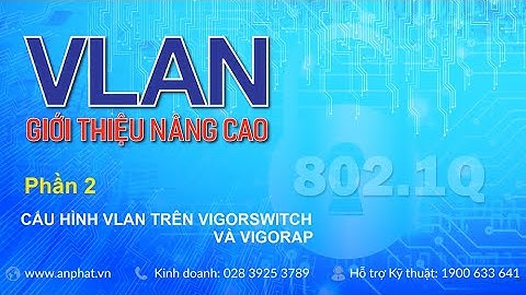 VLAN Giới thiệu nâng cao - Cấu hình VLAN trên VigorSwitch và VigorAP