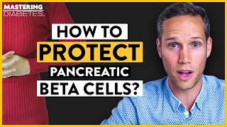 How to Prevent Beta Cells from Dying | Dr. Marc Hellerstein | Mastering Diabetes