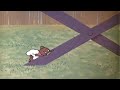 توم وجيري الحلقة 118 بعنوان هاي ستيك الجزء 2 