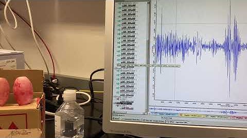 Optoelectronics: IR spectral analysis via OPUS