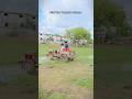 Mini Thar Making Process #thar #tharroxx #minithar #offroading